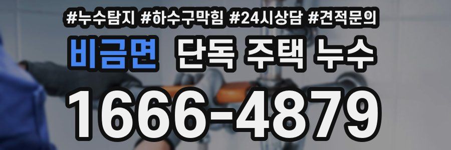 비금면 단독 주택 누수