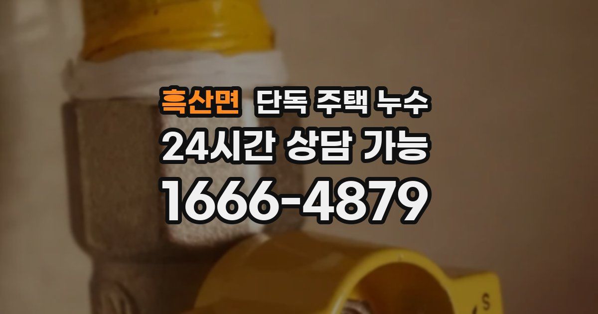 흑산면 단독 주택 누수