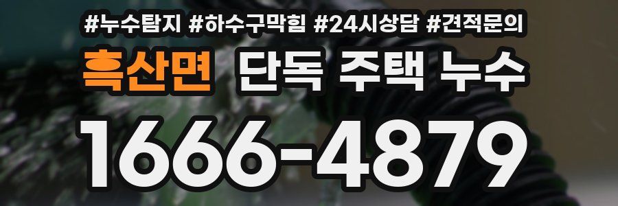 흑산면 단독 주택 누수