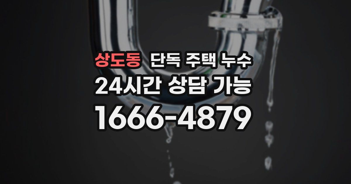 상도동 단독 주택 누수