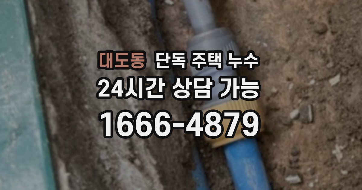 대도동 단독 주택 누수