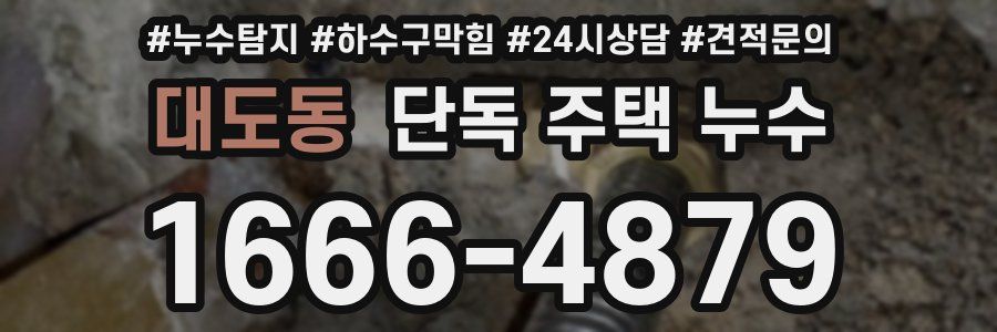 대도동 단독 주택 누수