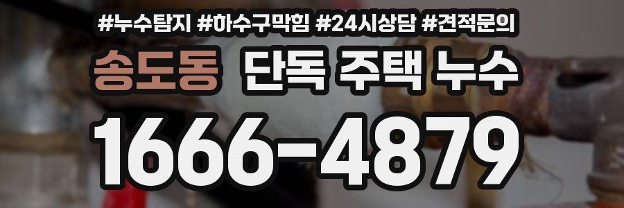 송도동 단독 주택 누수