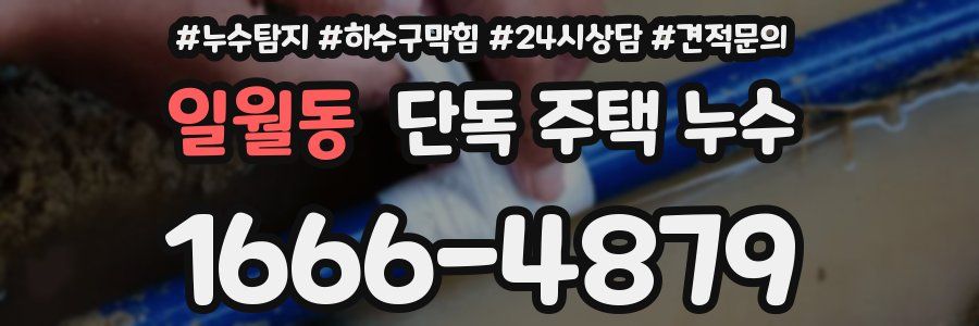 일월동 단독 주택 누수