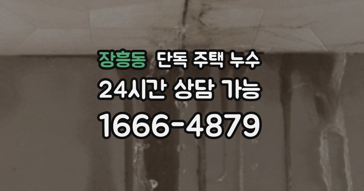 장흥동 단독 주택 누수