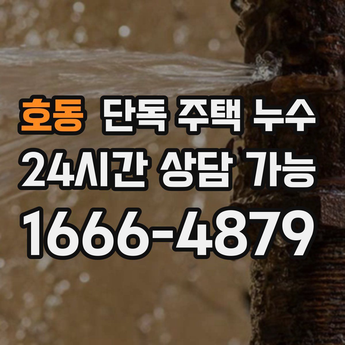 호동 단독 주택 누수