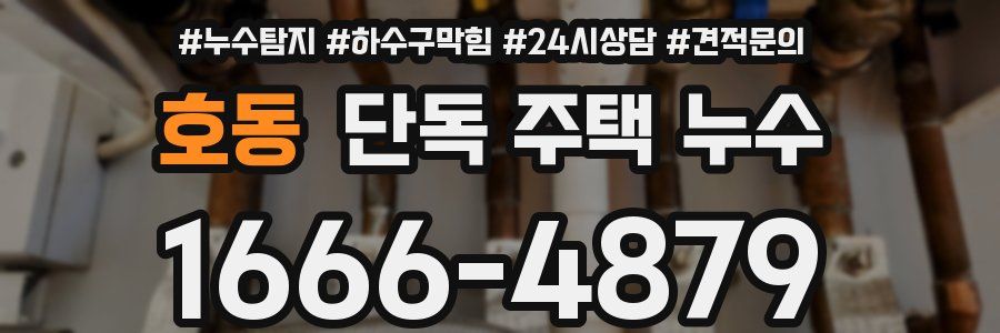 호동 단독 주택 누수
