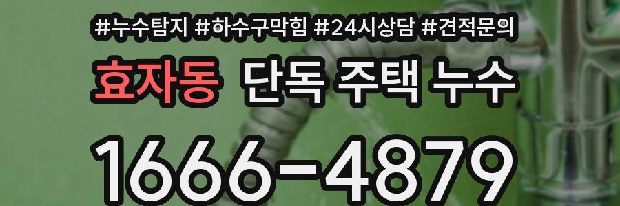 효자동 단독 주택 누수