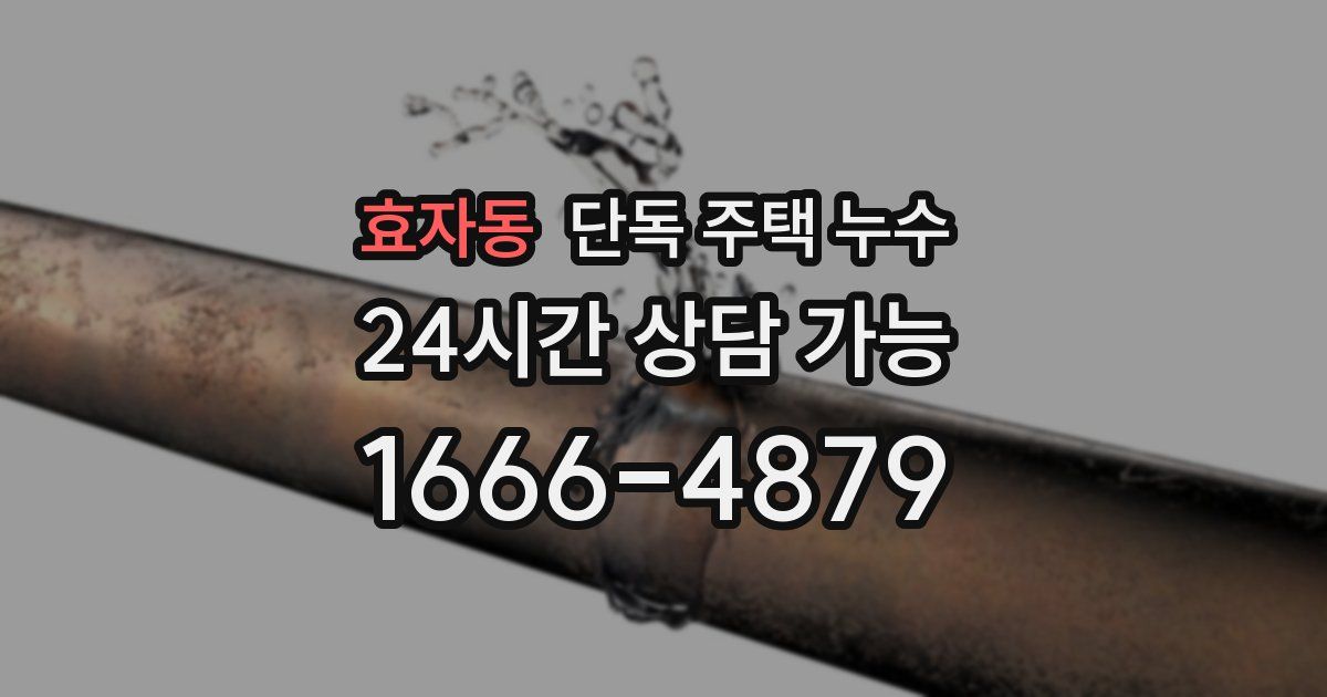 효자동 단독 주택 누수