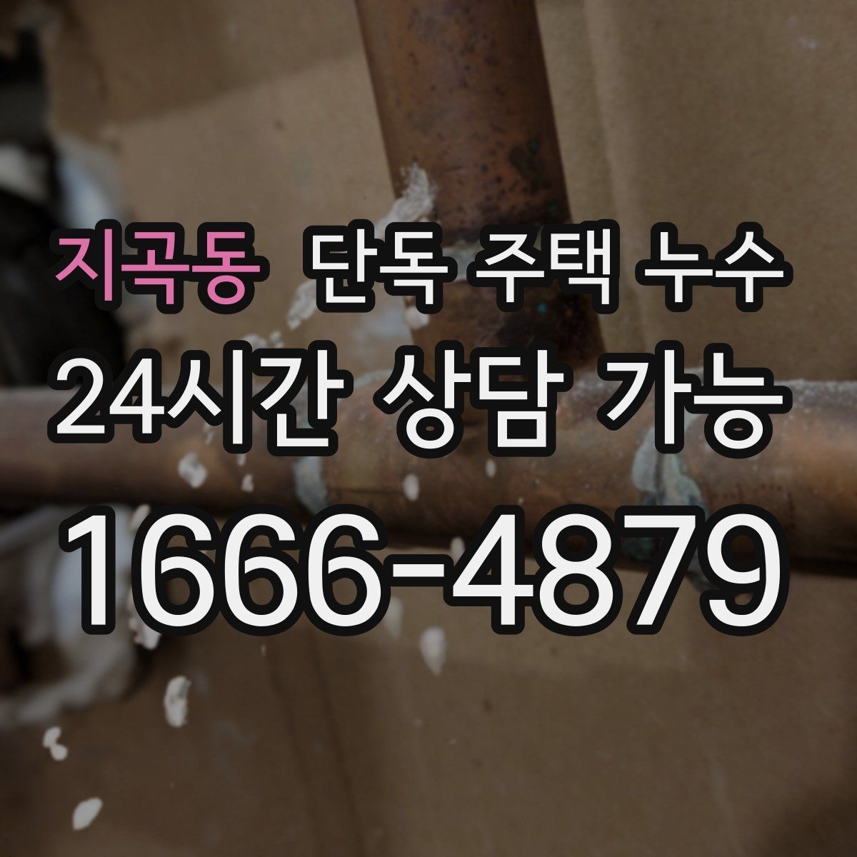 지곡동 단독 주택 누수 하수관 주변 젖음으로 바닥이 축축해질 때