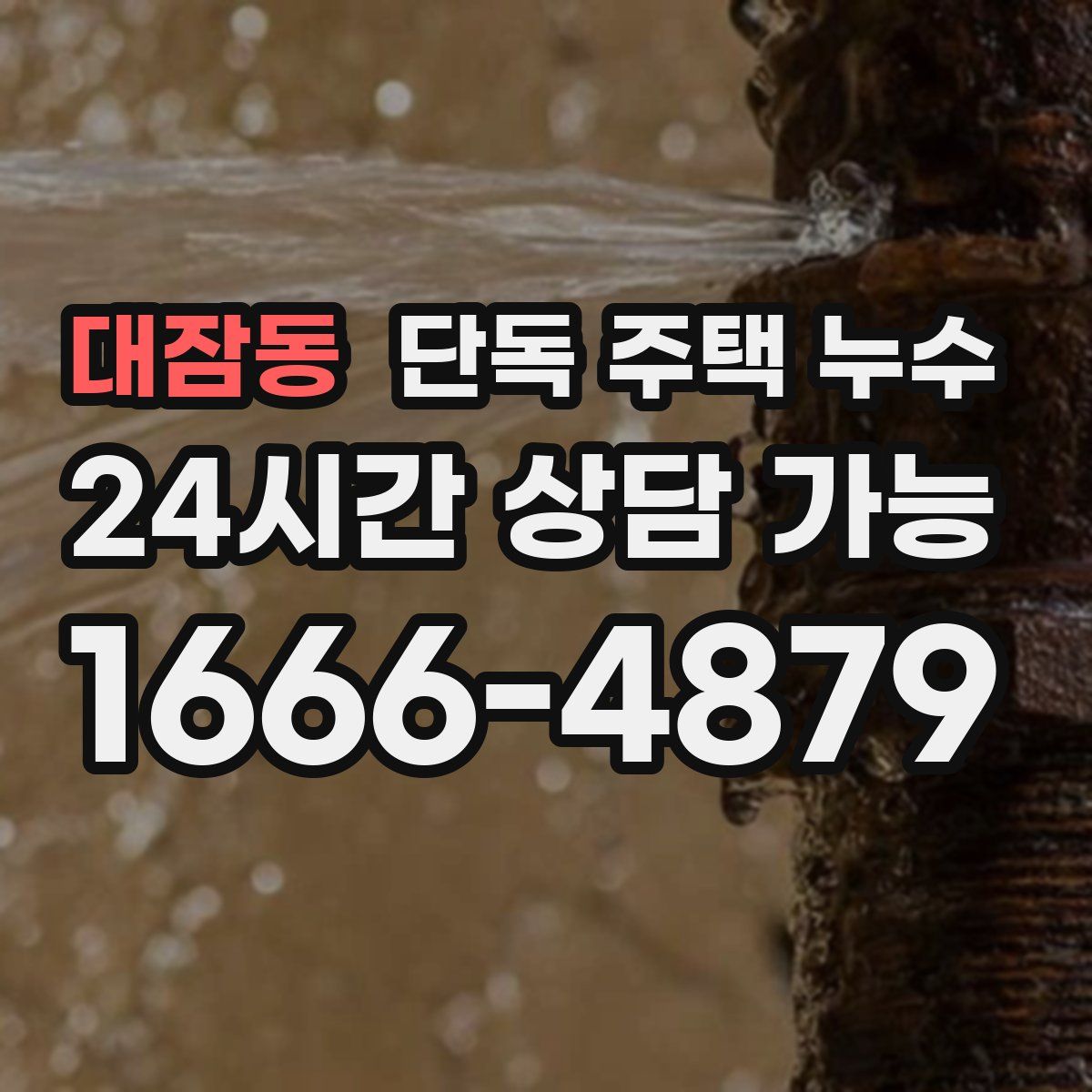 대잠동 단독 주택 누수