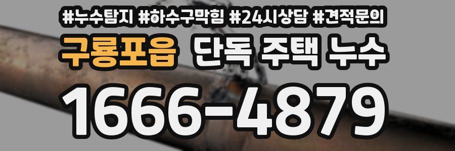 구룡포읍 단독 주택 누수