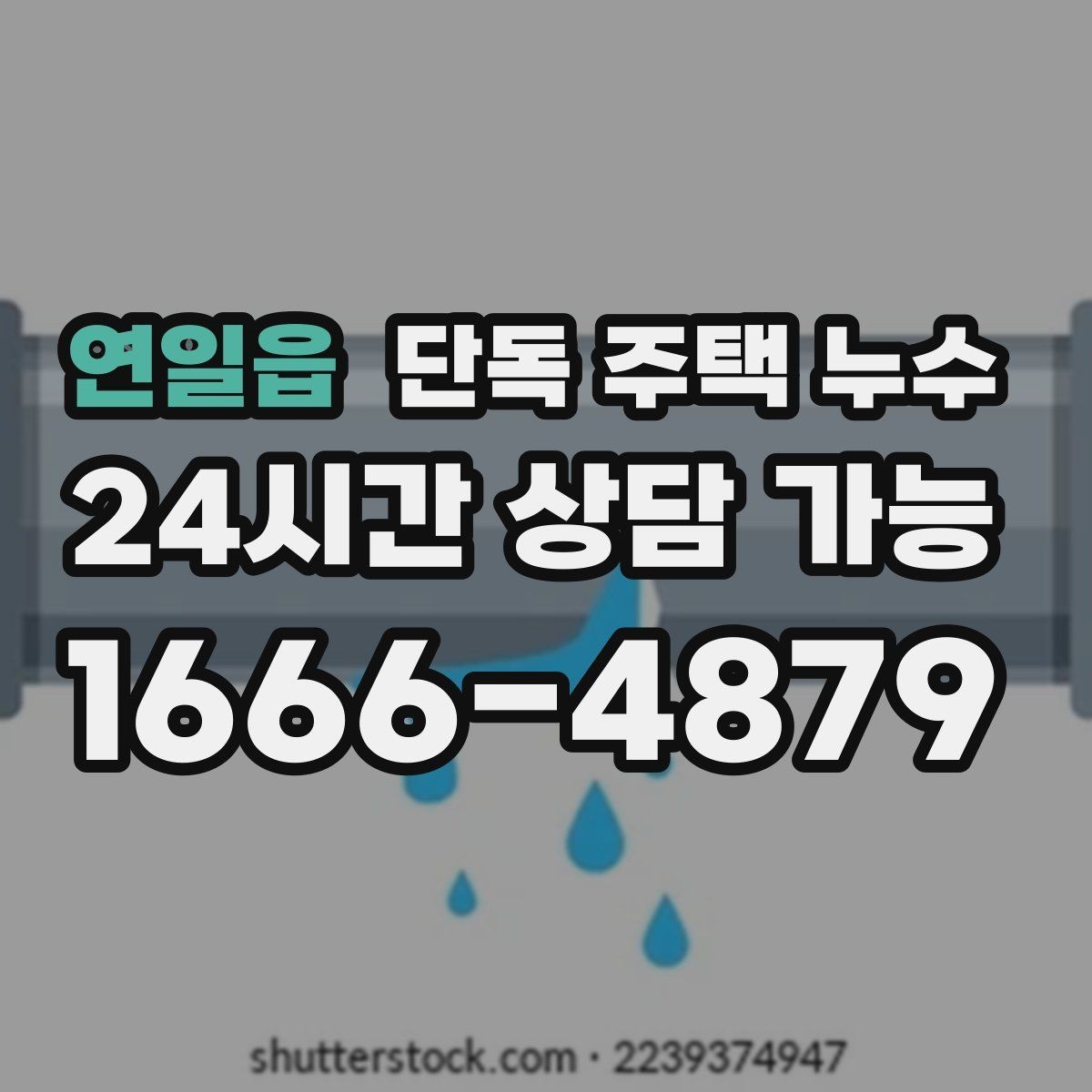 연일읍 단독 주택 누수 지붕 용마루 주변이 약해졌을 때 징후