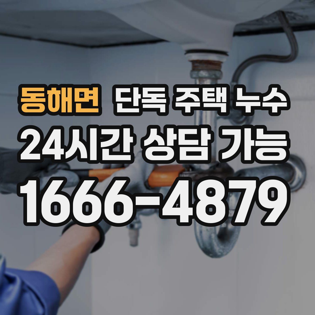 동해면 단독 주택 누수