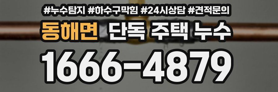 동해면 단독 주택 누수