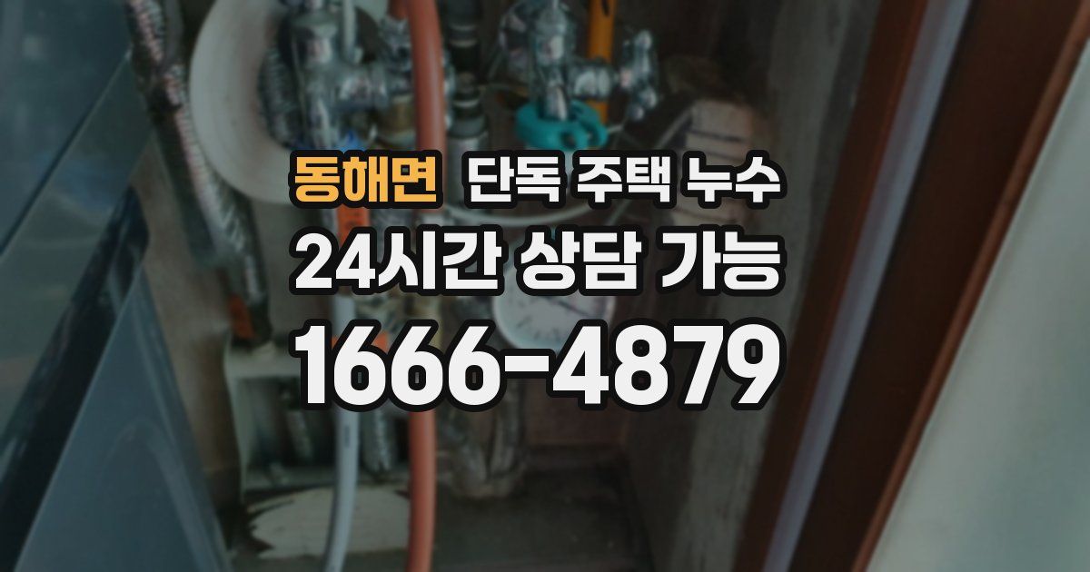 동해면 단독 주택 누수