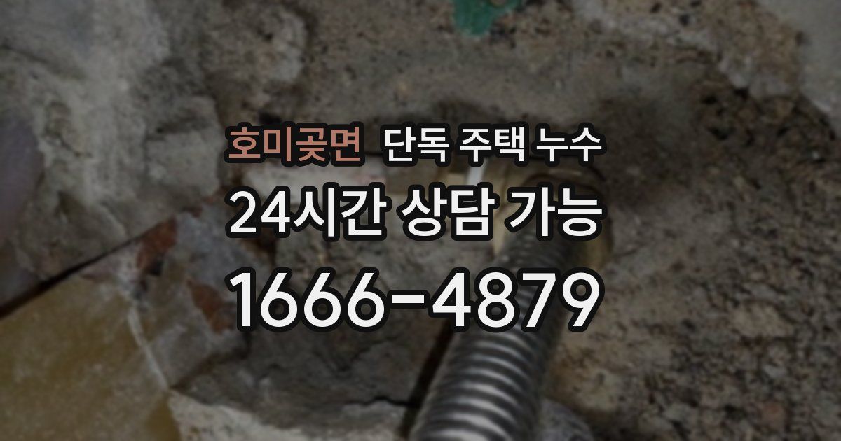 호미곶면 단독 주택 누수