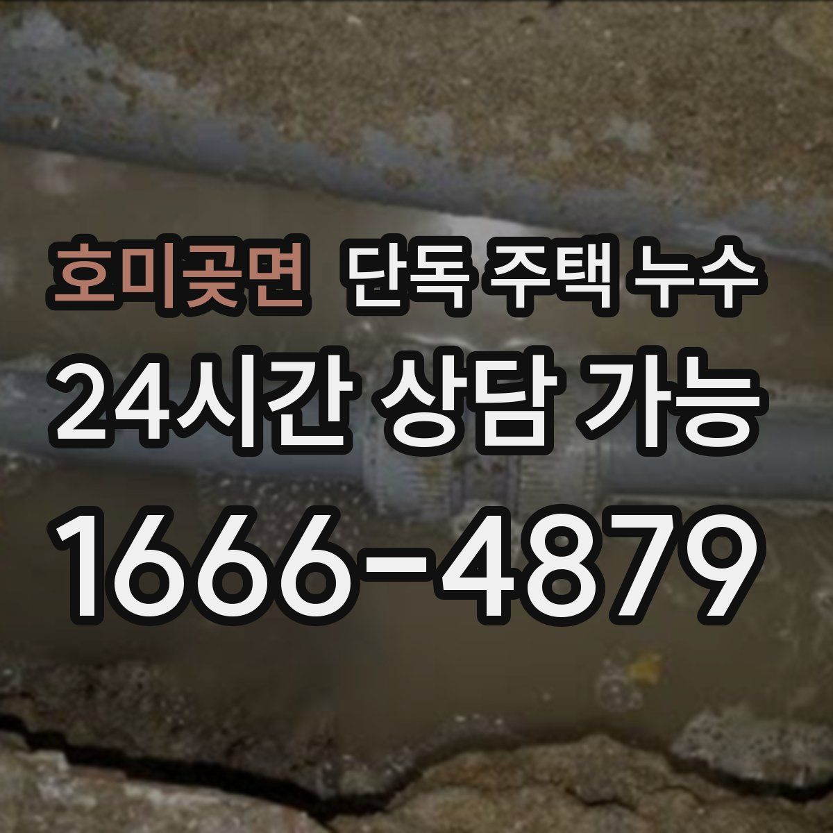 호미곶면 단독 주택 누수