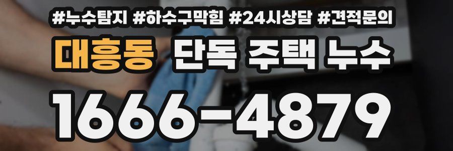 대흥동 단독 주택 누수