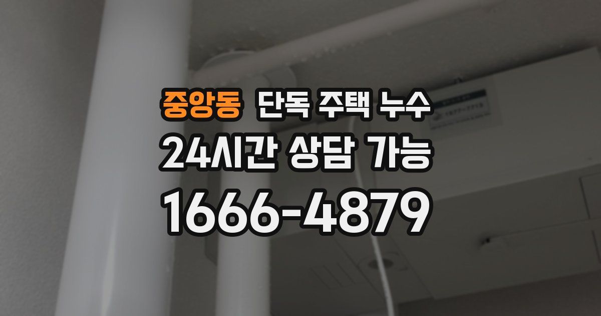 중앙동 단독 주택 누수