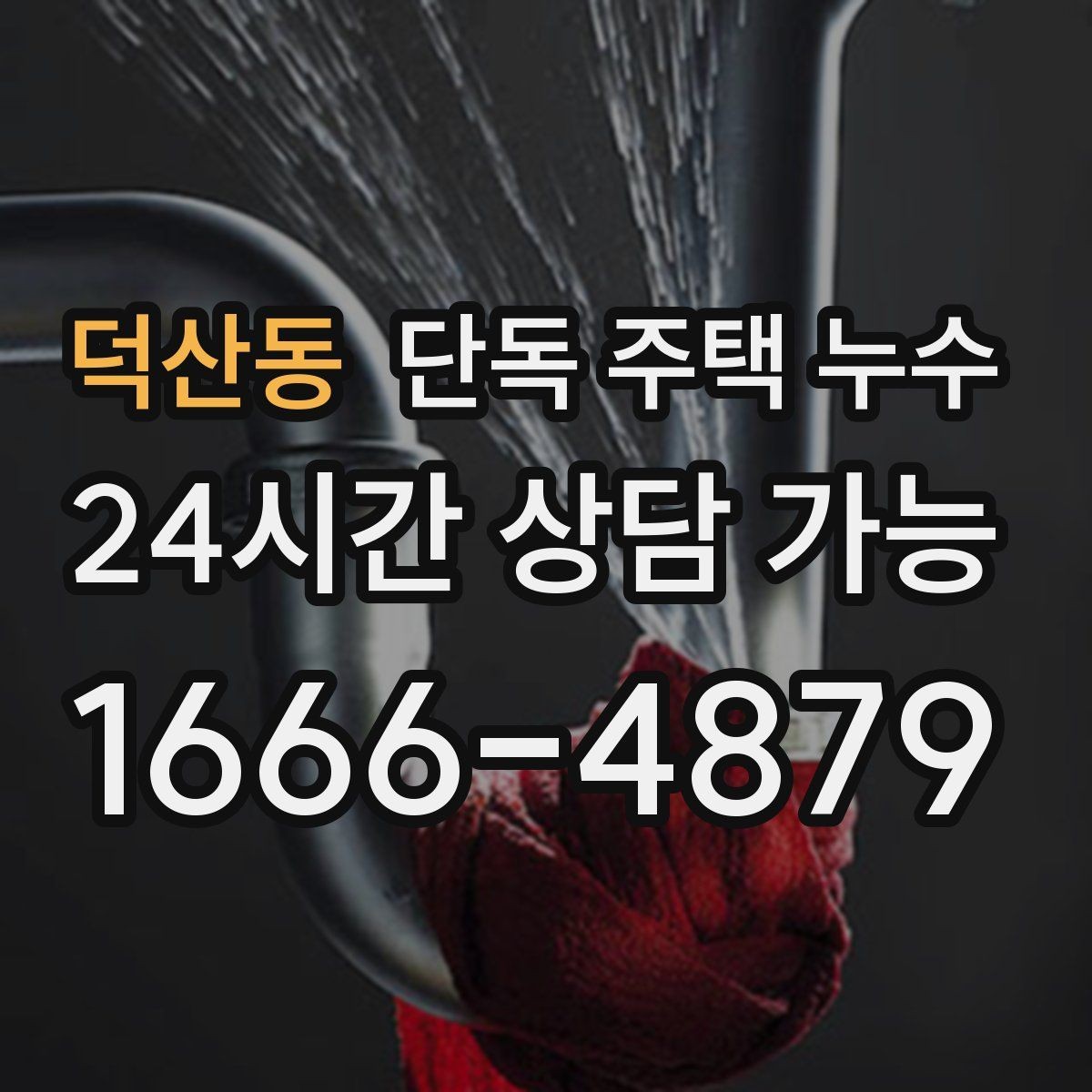 덕산동 단독 주택 누수 밤사이 갑자기 천장이 젖는 경우