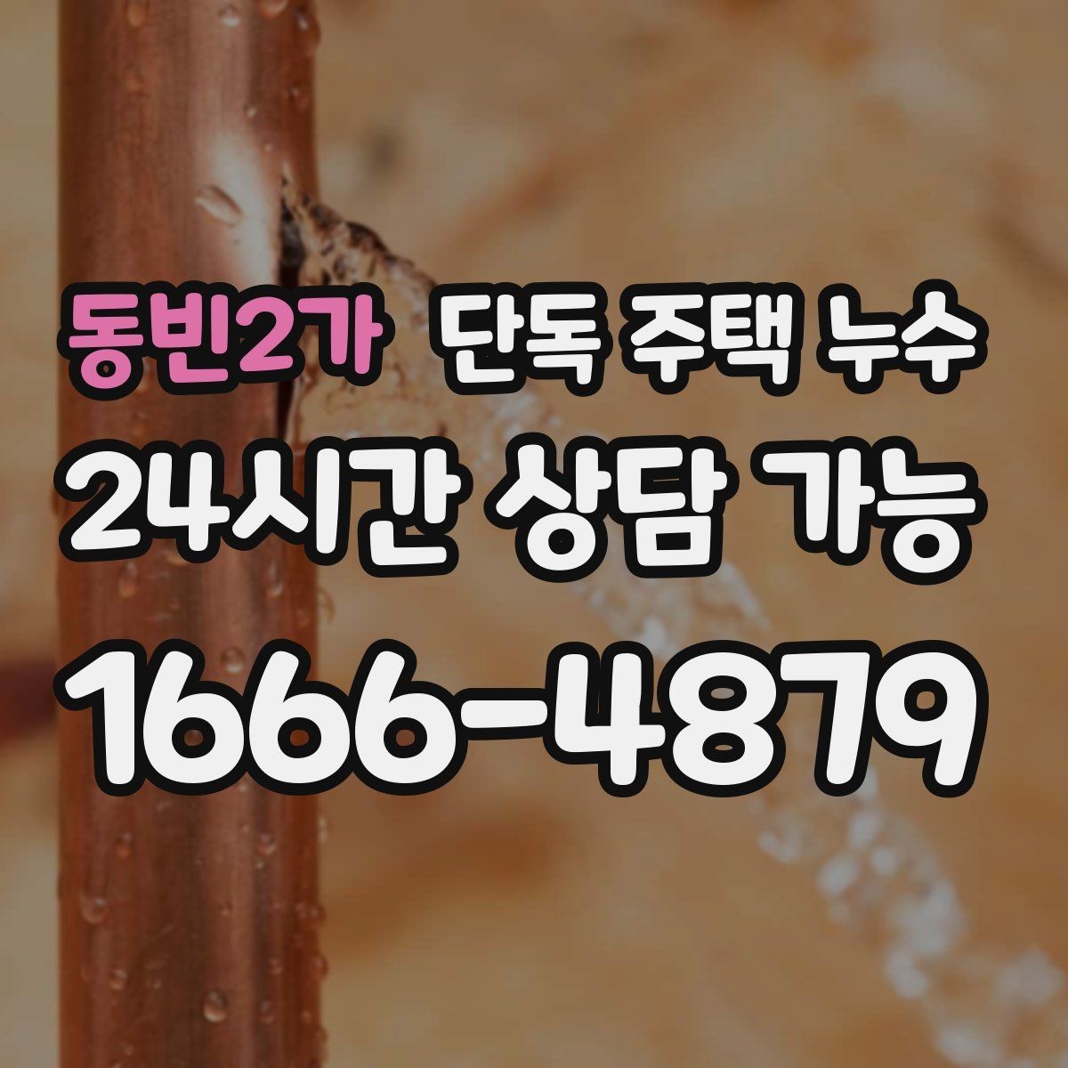 동빈2가 단독 주택 누수 욕실 실리콘이 검게 변하면 점검할 것