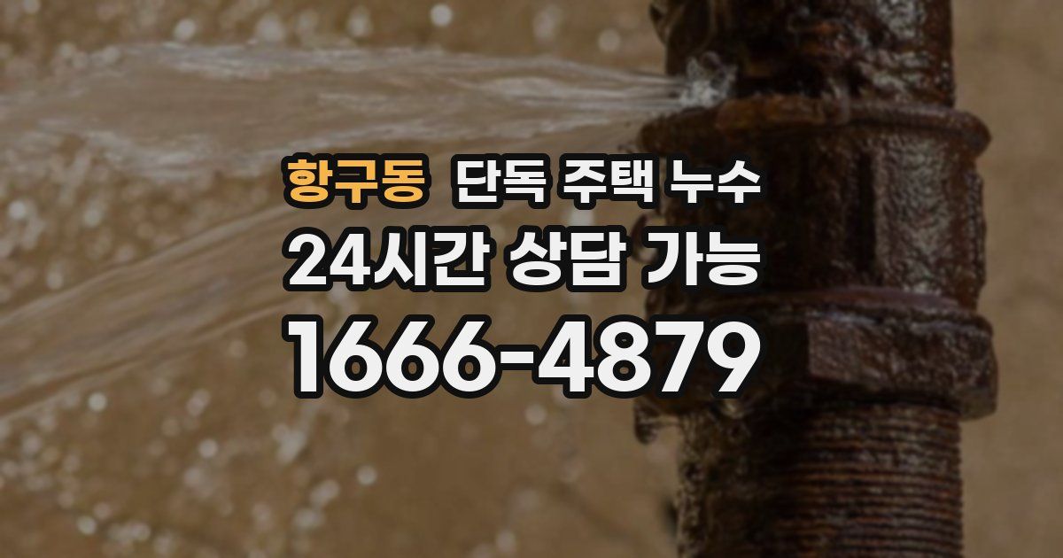 항구동 단독 주택 누수