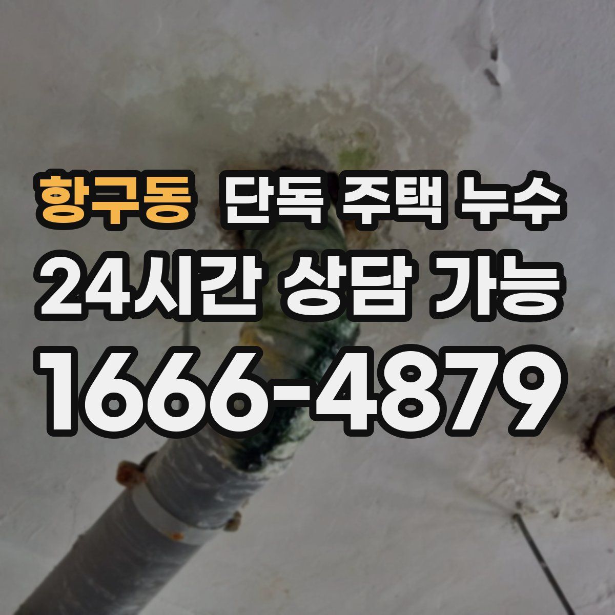 항구동 단독 주택 누수