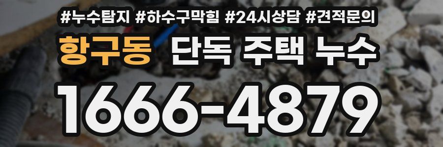 항구동 단독 주택 누수