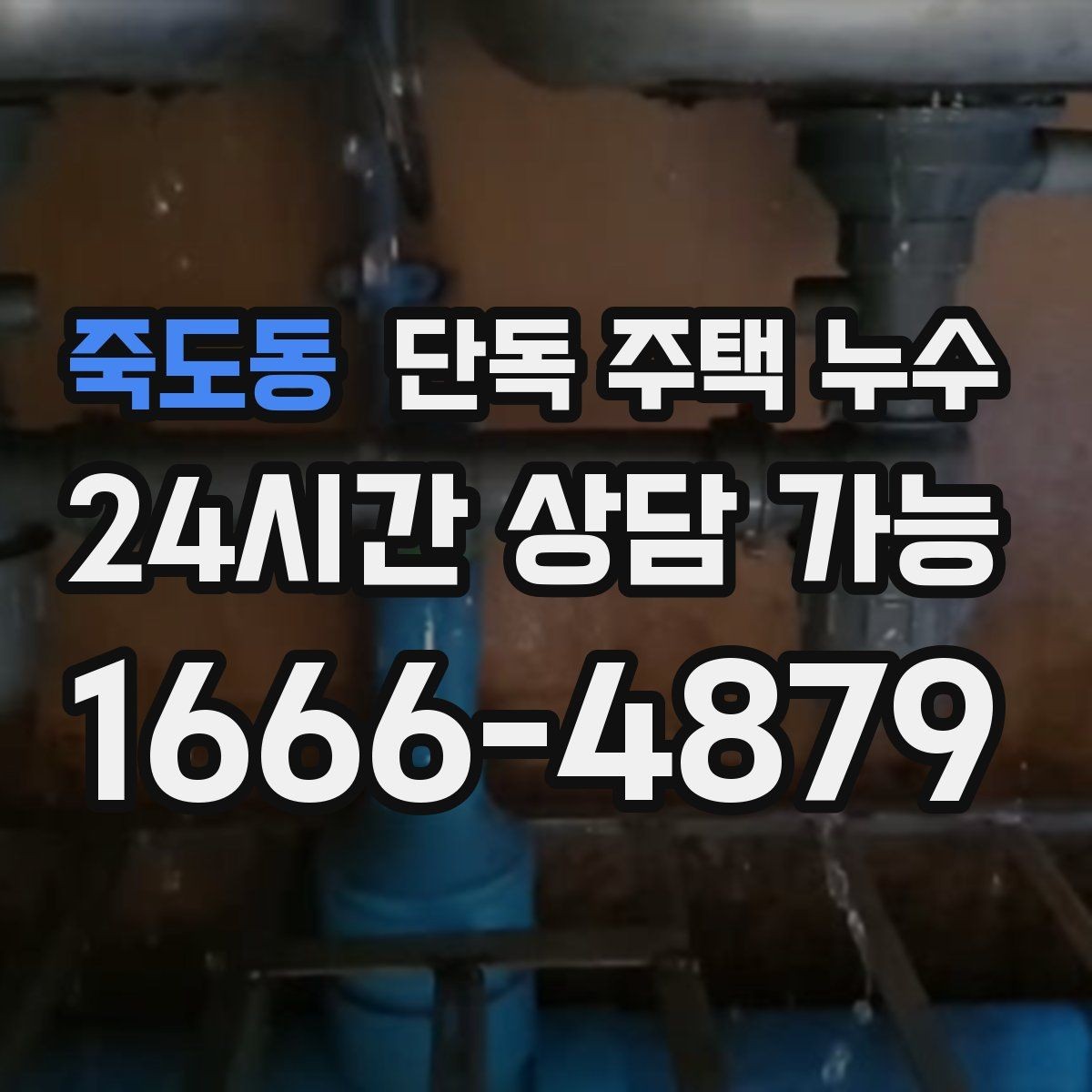 죽도동 단독 주택 누수 겨울 이후 갑자기 나타나는 누수 징후