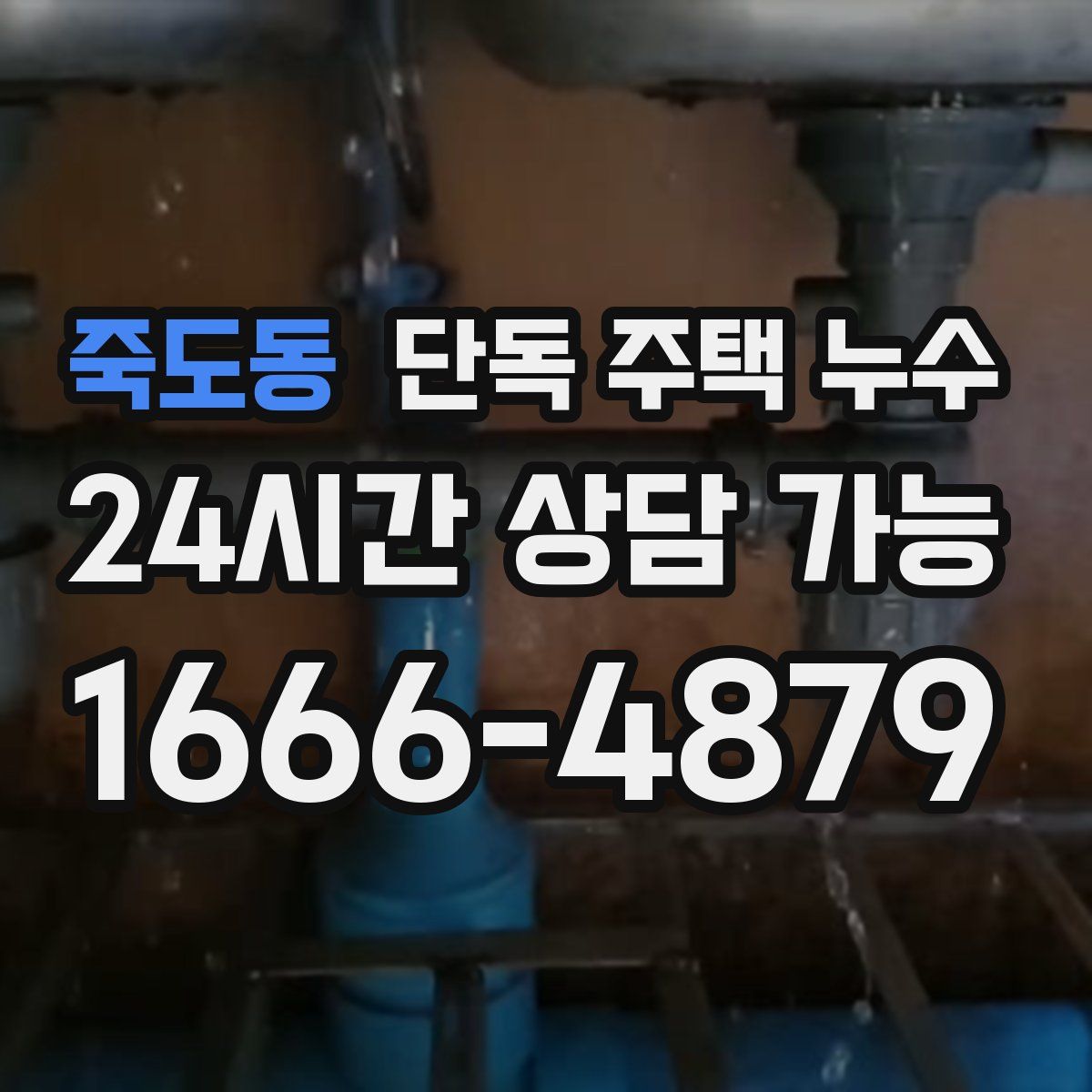 죽도동 단독 주택 누수