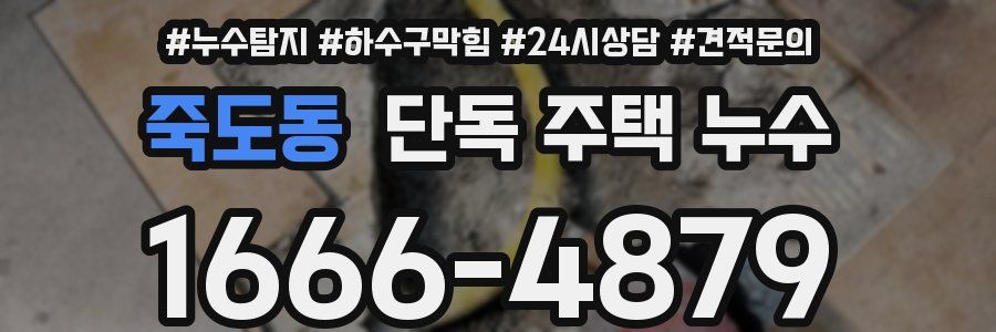 죽도동 단독 주택 누수