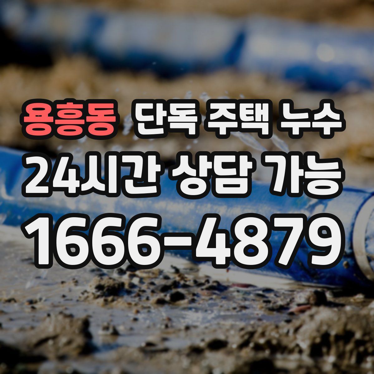 용흥동 단독 주택 누수