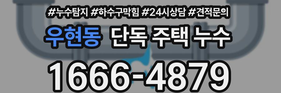 우현동 단독 주택 누수