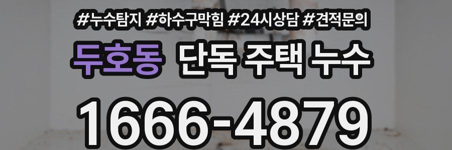 두호동 단독 주택 누수