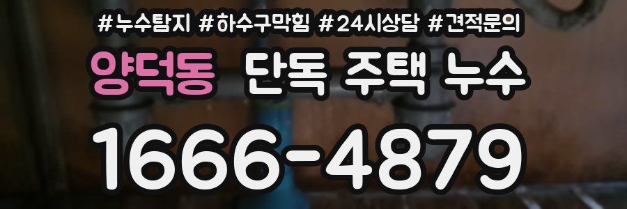 양덕동 단독 주택 누수