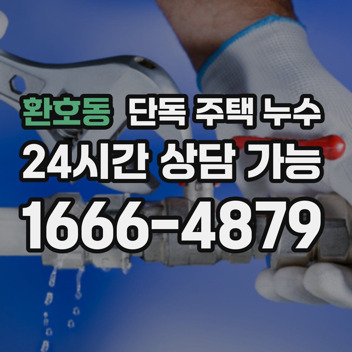 환호동 단독 주택 누수