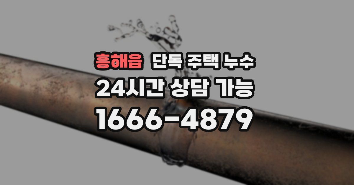 흥해읍 단독 주택 누수