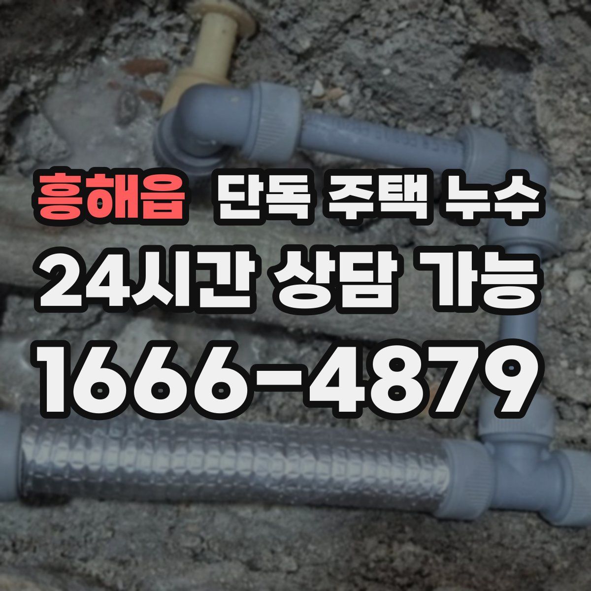 흥해읍 단독 주택 누수