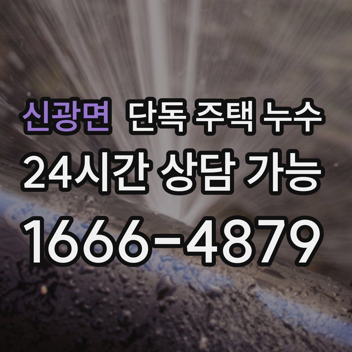 신광면 단독 주택 누수 곰팡이 냄새가 진해지면 원인부터 점검