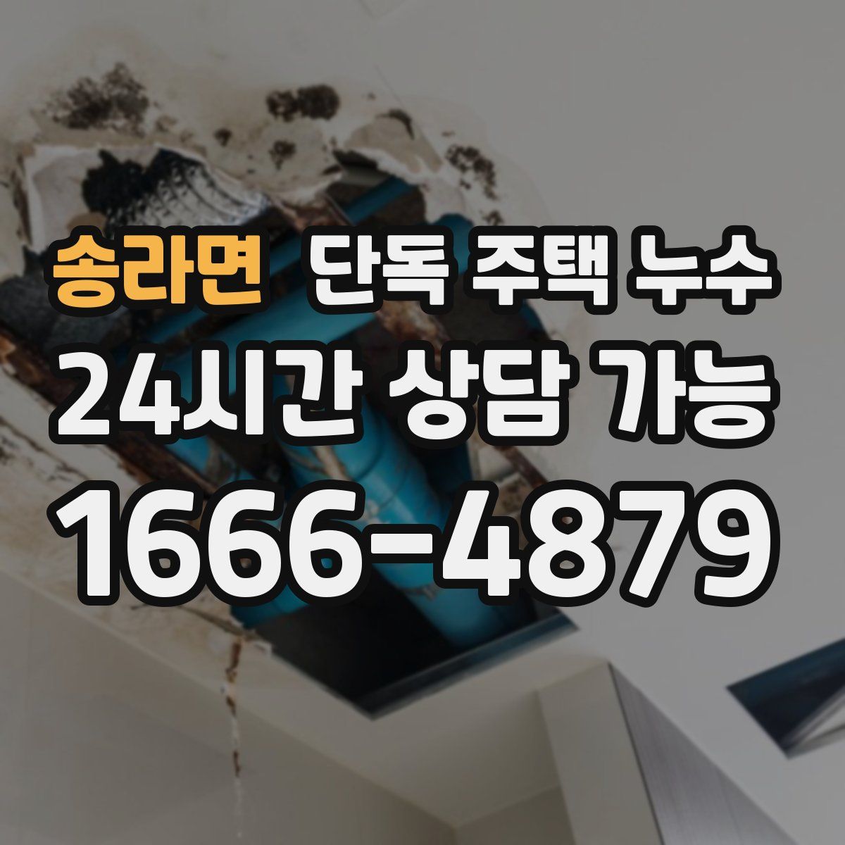 송라면 단독 주택 누수