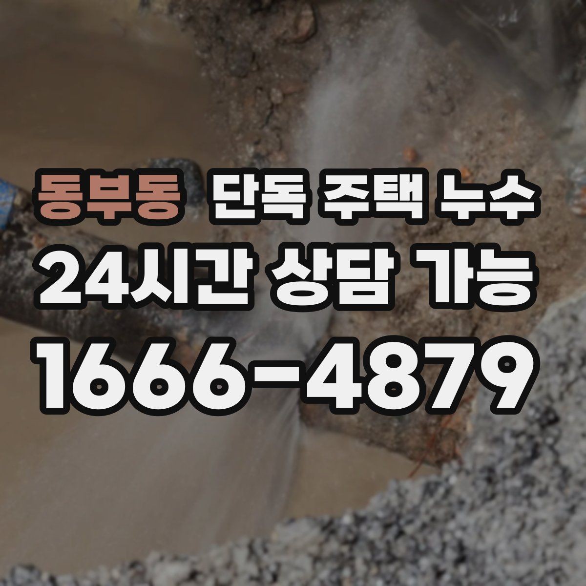 동부동 단독 주택 누수 비 온 뒤 벽지 들뜸 원인과 대처