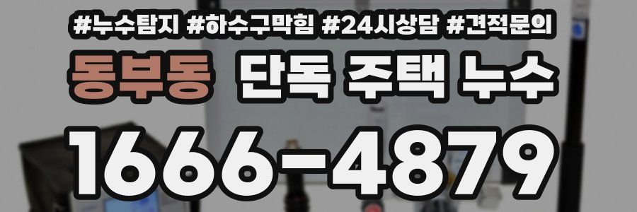 동부동 단독 주택 누수