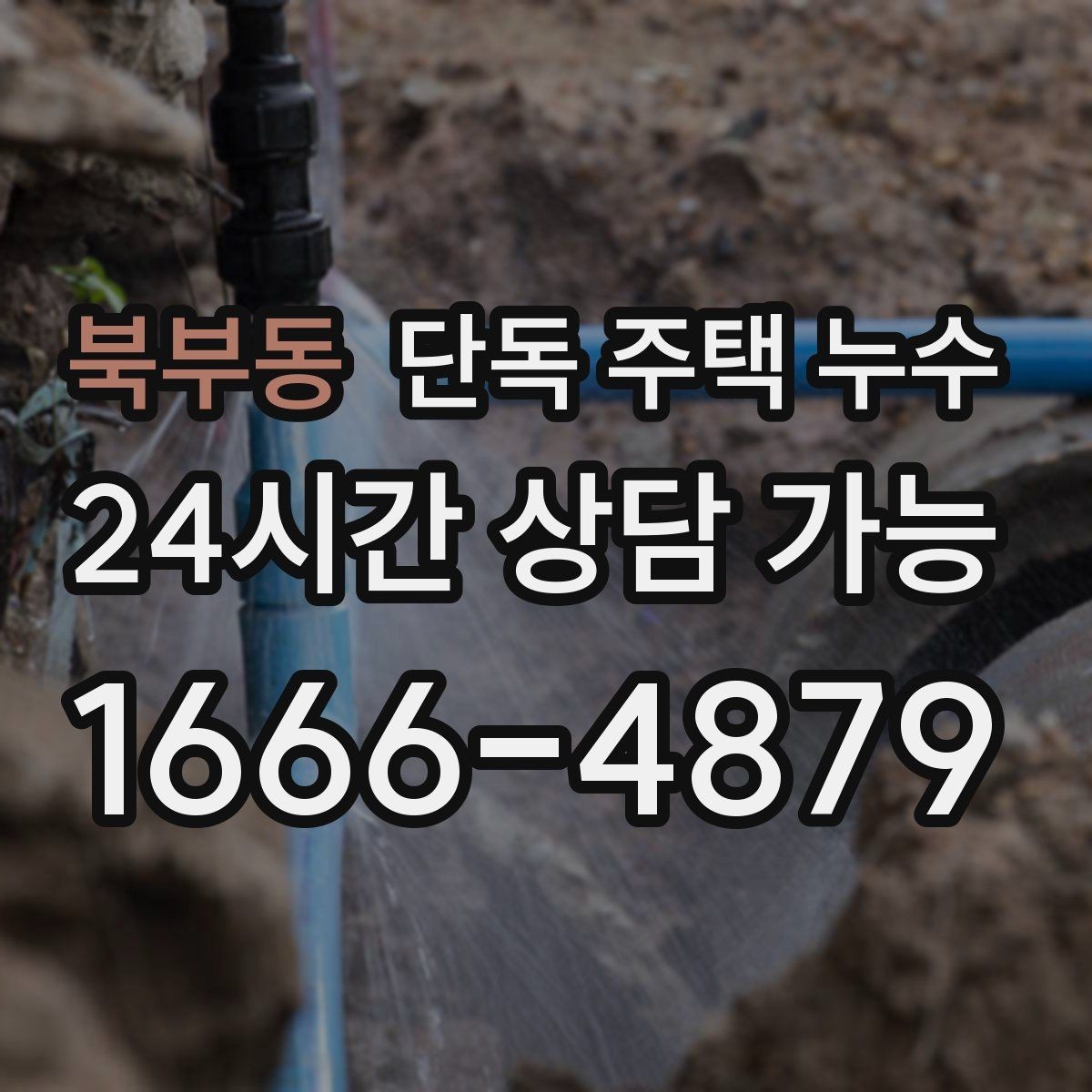 북부동 단독 주택 누수 장마 대비로 미리 확인할 곳