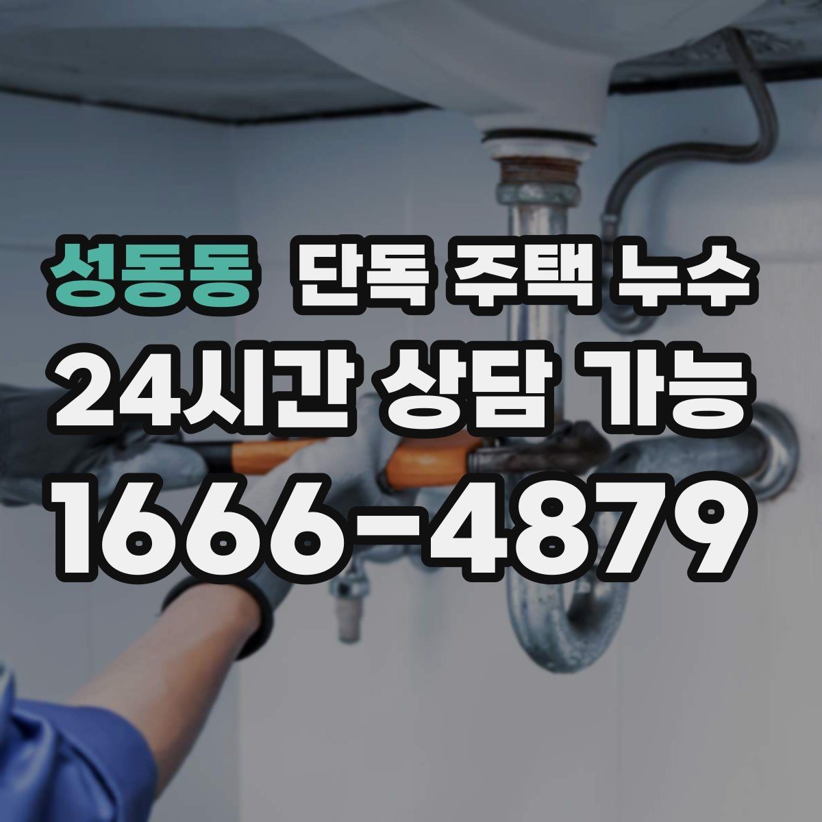 성동동 단독 주택 누수 우수관 주변에서 물자국이 생길 때