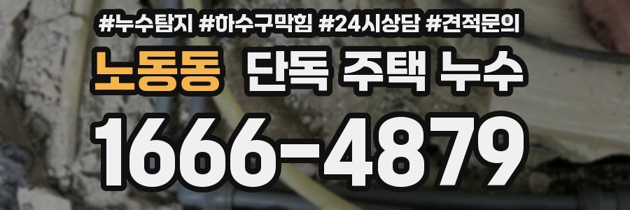 노동동 단독 주택 누수