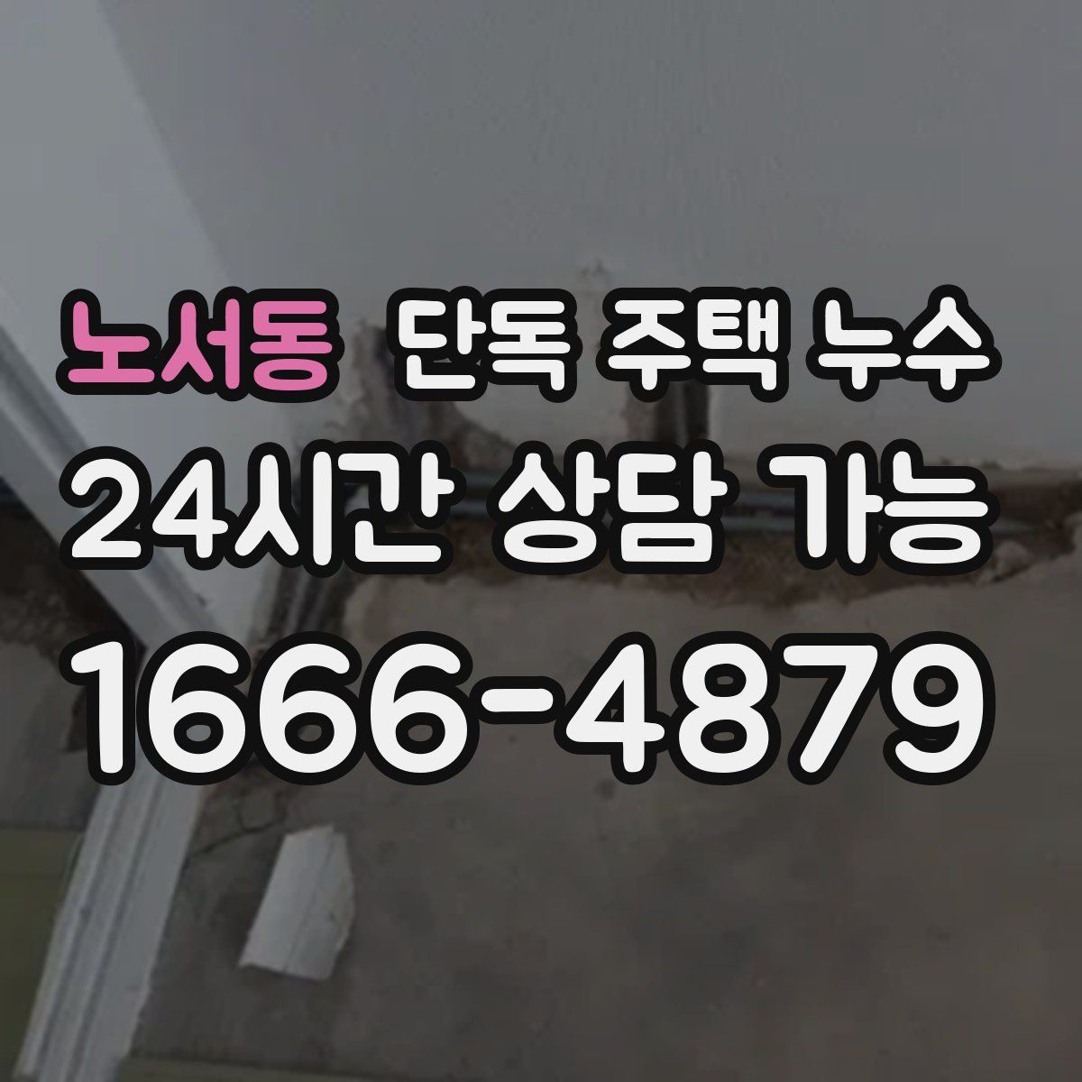 노서동 단독 주택 누수