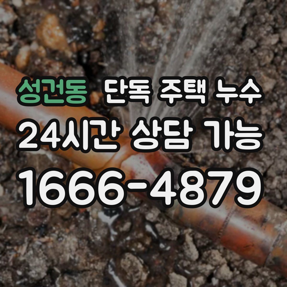성건동 단독 주택 누수 다용도실 바닥 물 고임 원인