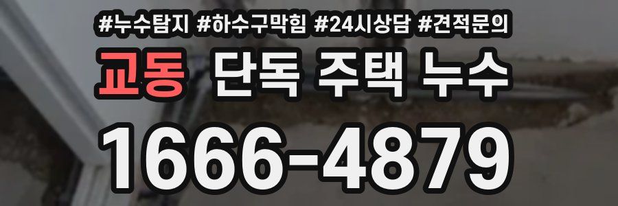 교동 단독 주택 누수