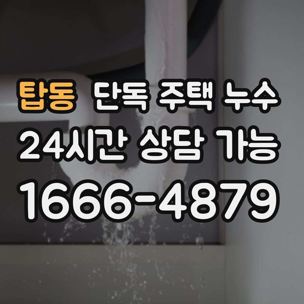 탑동 단독 주택 누수